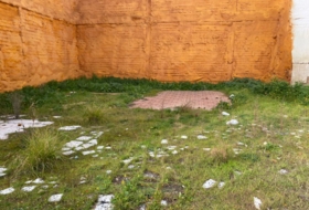 Foto 7