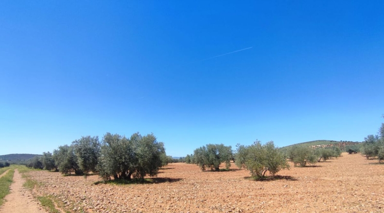 Ciudad Real - Valdepeñas - 7887m2