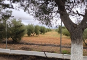 Casa de camp amb terreny en venda a Valdepeñas ref.: TR105057 foto