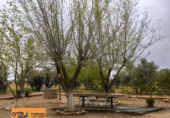 Casa de camp amb terreny en venda a Valdepeñas ref.: TR105057 foto