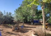 Finca rústica en venda a Valdepeñas ref.: TR108623 foto