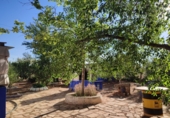 Finca rústica en venda a Valdepeñas ref.: TR108623 foto