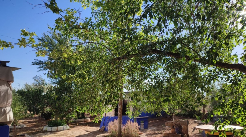 Ciudad Real - Valdepeñas - 16032m2