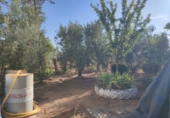 Finca rústica en venda a Valdepeñas ref.: TR108623 foto
