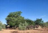Finca rústica en venda a Valdepeñas ref.: TR108623 foto