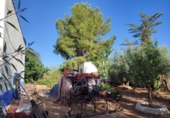 Xalet independent amb terreny en venda a Valdepeñas ref.: TR186535 foto