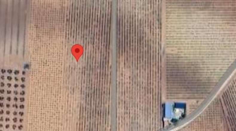 Ciudad Real - Valdepeñas - 119412m2