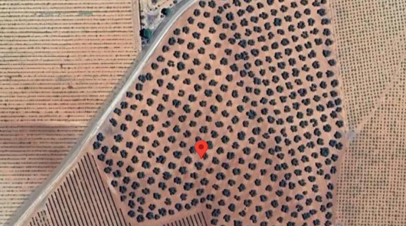 Ciudad Real - Valdepeñas - 119412m2