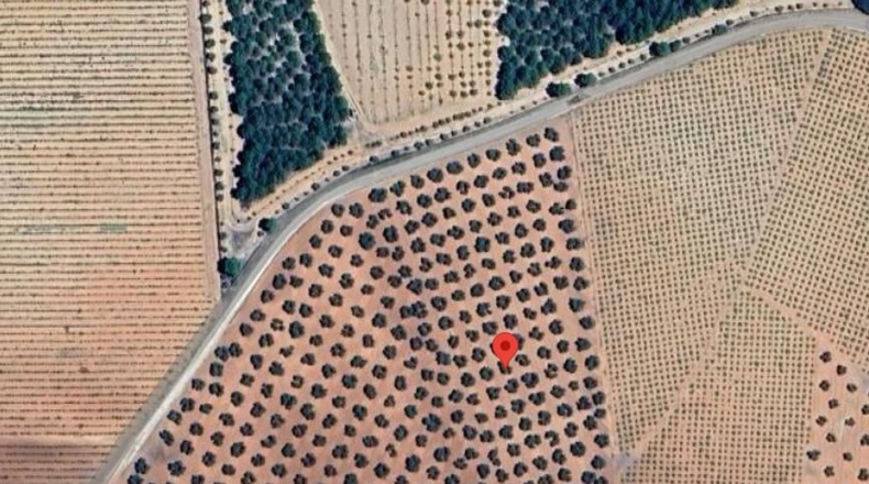 Ciudad Real - Valdepeñas - 119412m2