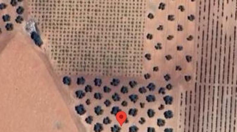 Ciudad Real - Valdepeñas - 119412m2