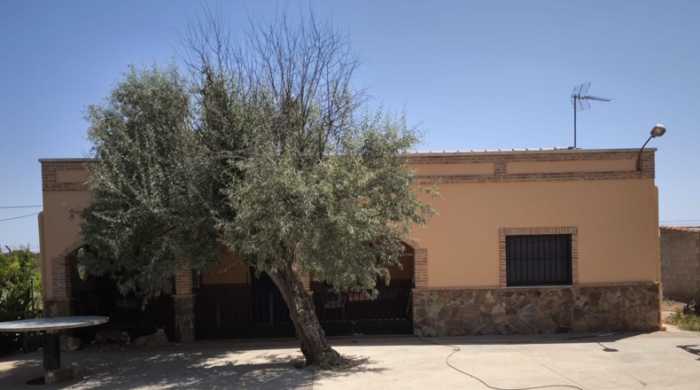 Ciudad Real - Valdepeñas - 119412m2