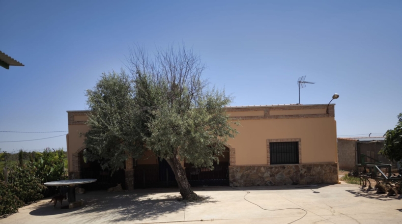 Ciudad Real - Valdepeñas - 119412m2