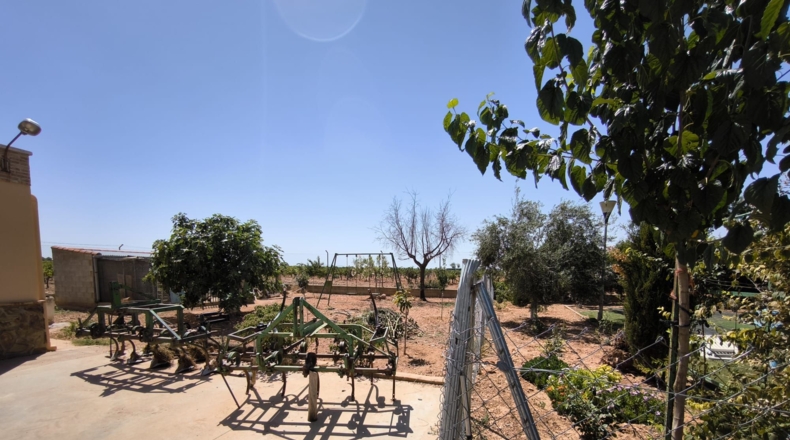 Ciudad Real - Valdepeñas - 119412m2