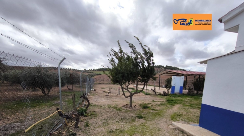 Ciudad Real - Valdepeñas - 4759m2