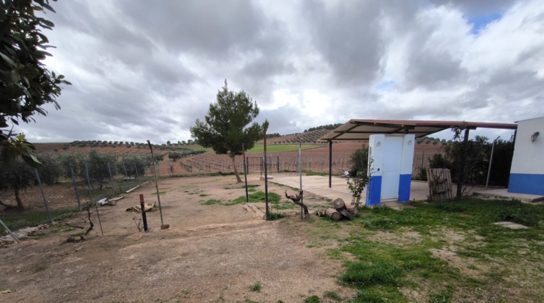 Ciudad Real - Valdepeñas - 4759m2