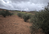 Casa de camp amb terreny en venda a Valdepeñas ref.: TR277554 foto