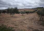 Casa de camp amb terreny en venda a Valdepeñas ref.: TR277554 foto