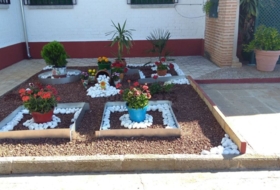 Foto 16