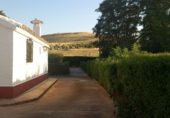 Casa de camp amb terreny en venda a Valdepeñas ref.: TR252511 foto
