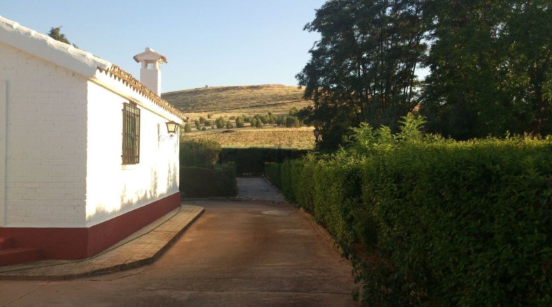 Ciudad Real - Valdepeñas - 5318m2