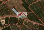 Terreny no urbanitzable en venda a la España, Alcanar, ref.: TR53617 foto