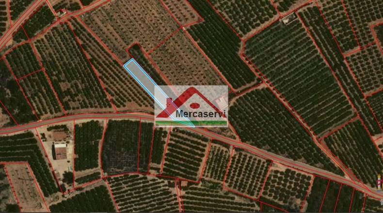 Tarragona - Alcanar - 907m2
