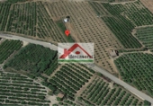 Terreny no urbanitzable en venda a la España, Alcanar, ref.: TR53617 foto