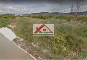 Terreny no urbanitzable en venda a la España, Alcanar, ref.: TR53617 foto