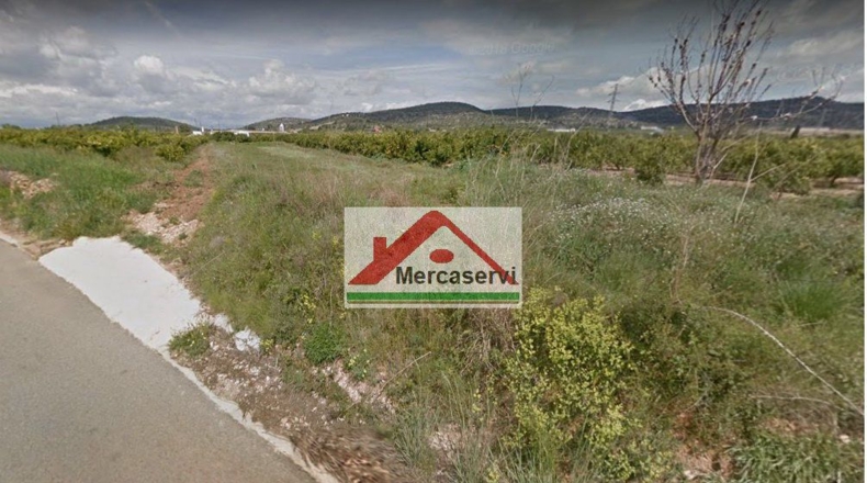 Tarragona - Alcanar - 907m2