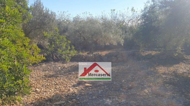 Tarragona - Alcanar - 5635m2