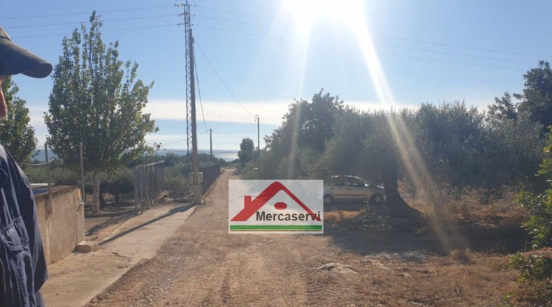 Tarragona - Alcanar - 5635m2
