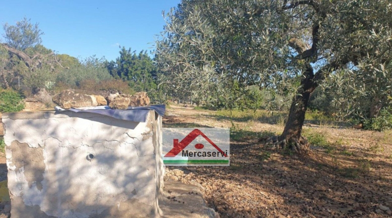 Tarragona - Alcanar - 5635m2