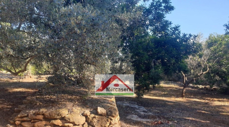Tarragona - Alcanar - 5635m2