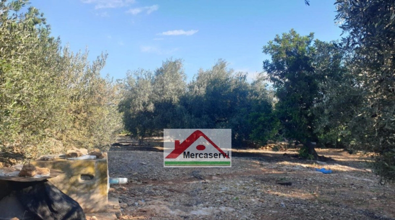 Tarragona - Alcanar - 5635m2