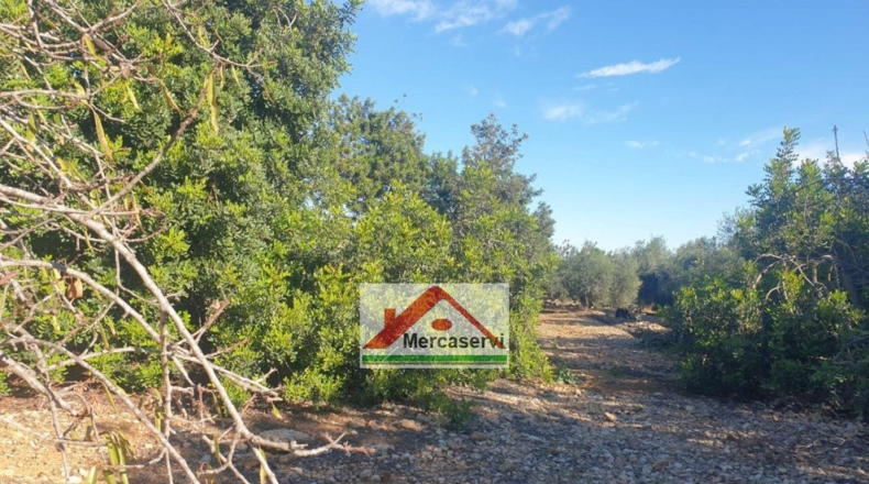 Tarragona - Alcanar - 5635m2