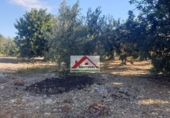 Земля на продажу у города Alcanar Фото