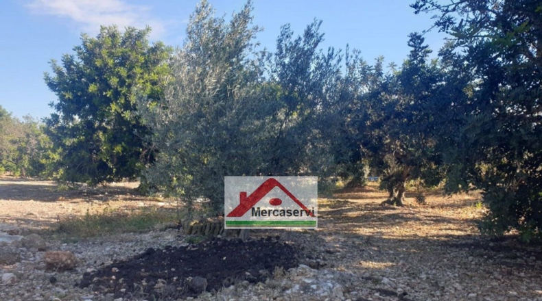 Tarragona - Alcanar - 5635m2