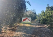 Земля на продажу у города Alcanar Фото