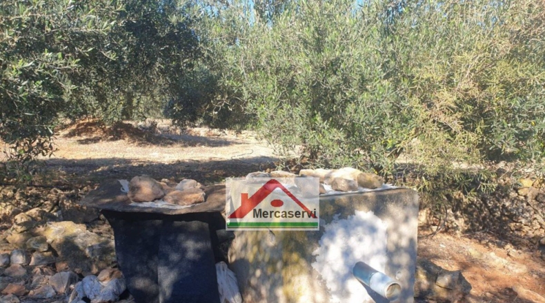 Tarragona - Alcanar - 5635m2