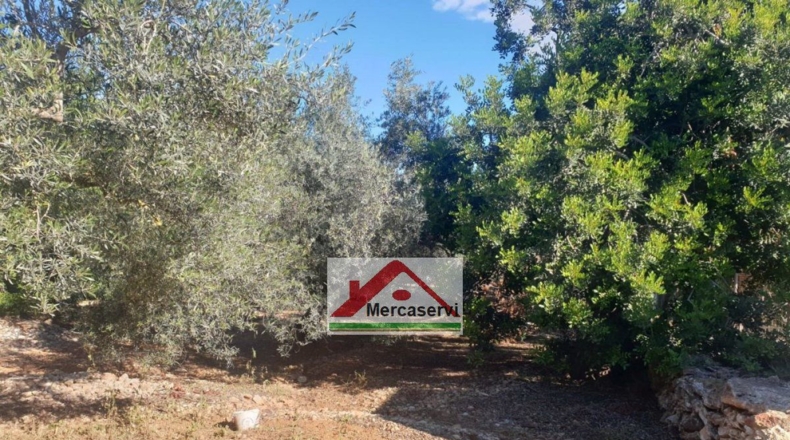 Tarragona - Alcanar - 5635m2