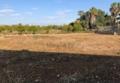 Suelo urbano en venta en la España, Vinaròs, ref: TR57325 foto