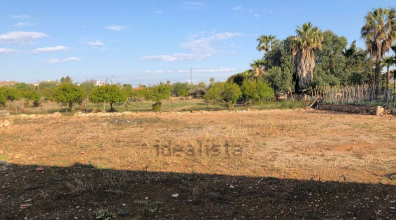Castellón - Vinaroz - 630m2