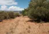 Sòl urbà en venda a la España, Peníscola, ref.: TR98565 foto