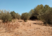 Sòl urbà en venda a la España, Peníscola, ref.: TR98565 foto