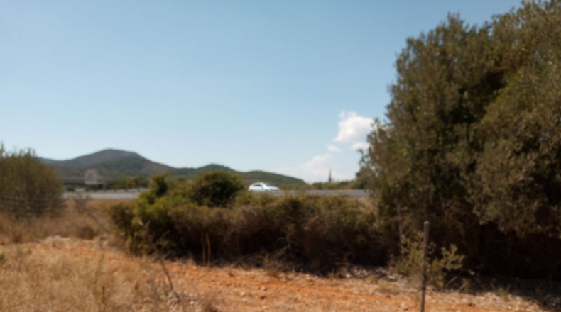 Castellón - Peñíscola - 4293m2