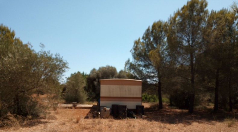 Castellón - Peñíscola - 4293m2