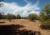 Sòl urbà en venda a la España, Peníscola, ref.: TR98565 foto