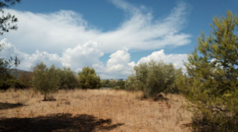 Castellón - Peñíscola - 4293m2