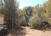 Sòl urbà en venda a la España, Peníscola, ref.: TR98565 foto