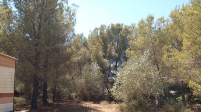 Castellón - Peñíscola - 4293m2